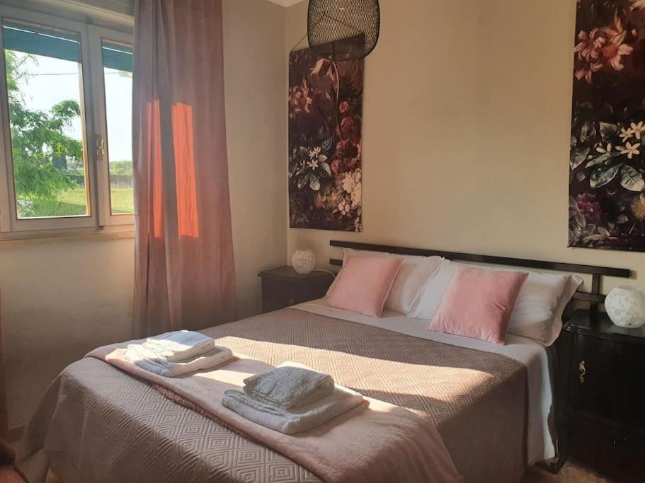 Molo - Residenza Con Accesso Diretto Al Lago 라찌제 외부 사진