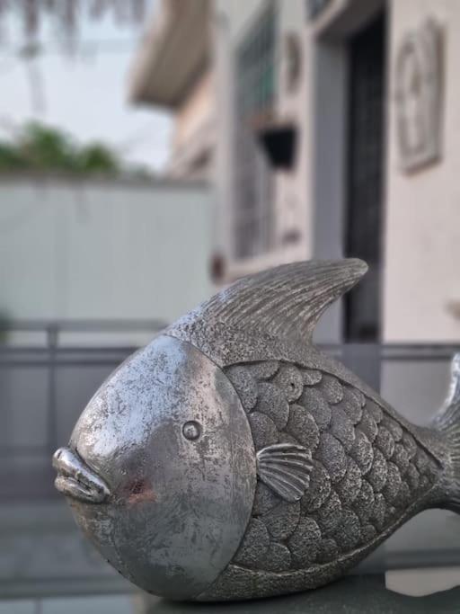 Molo - Residenza Con Accesso Diretto Al Lago 라찌제 외부 사진
